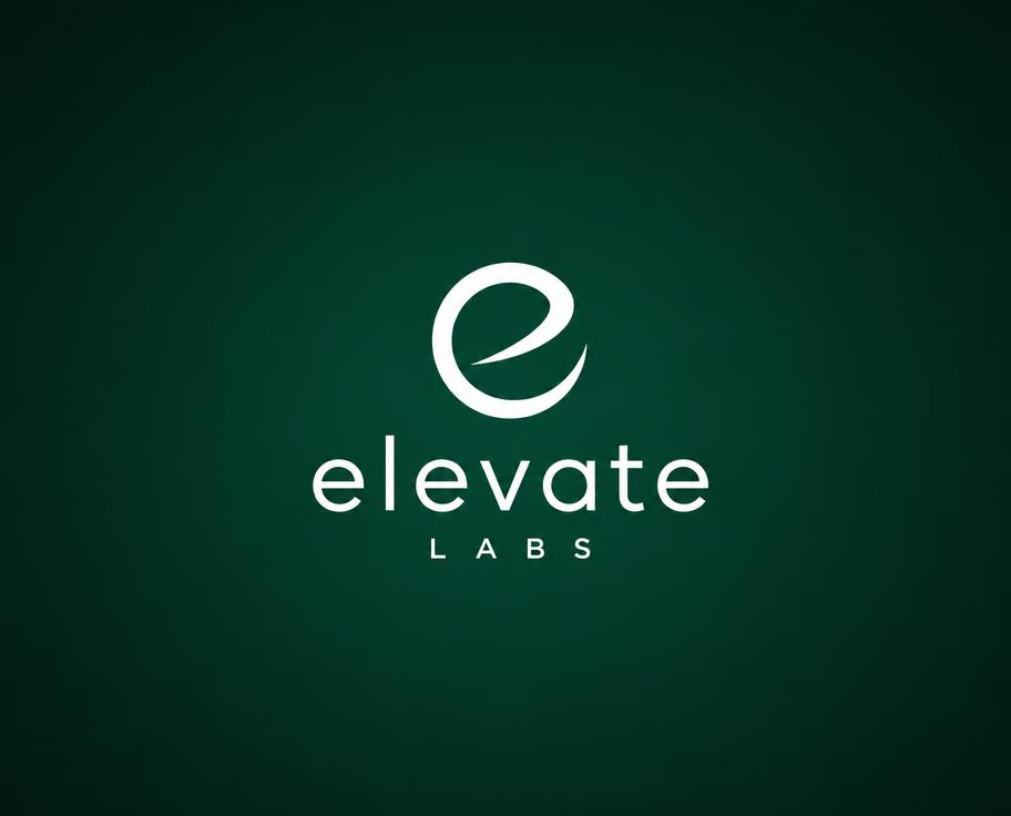 Elevate Labs — Logo & Brand Identity